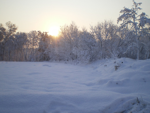 37446 (a): :1024x768